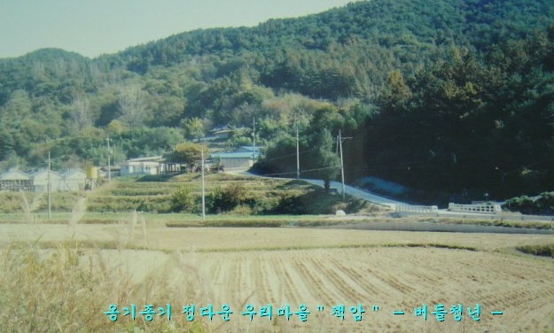 버들하우스 이미지
