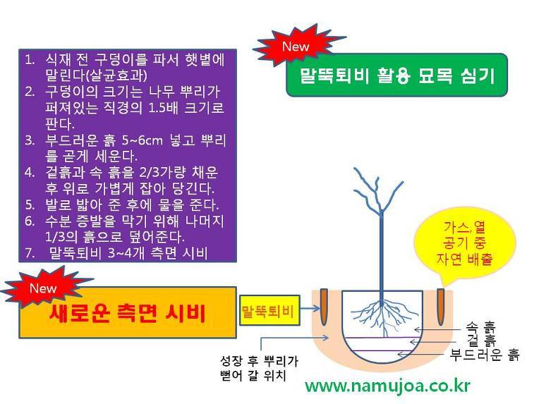 수목관리 이미지