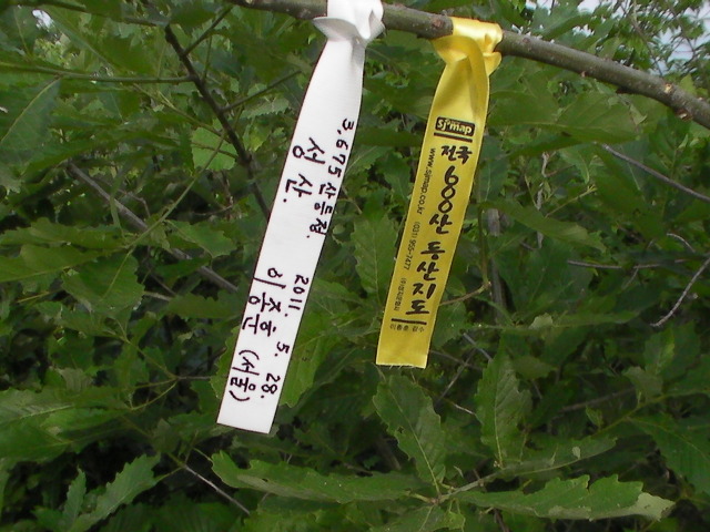 다섯번째 삼각점 이미지