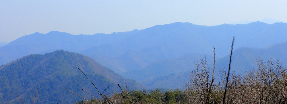 대전시경계종주 이미지