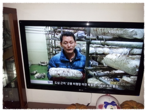 토리농장 이미지