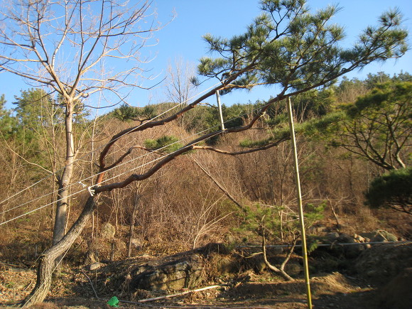 지리산농장 이미지