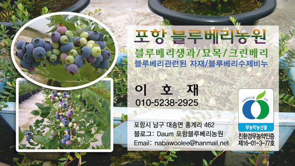 포항블루베리농원 이미지