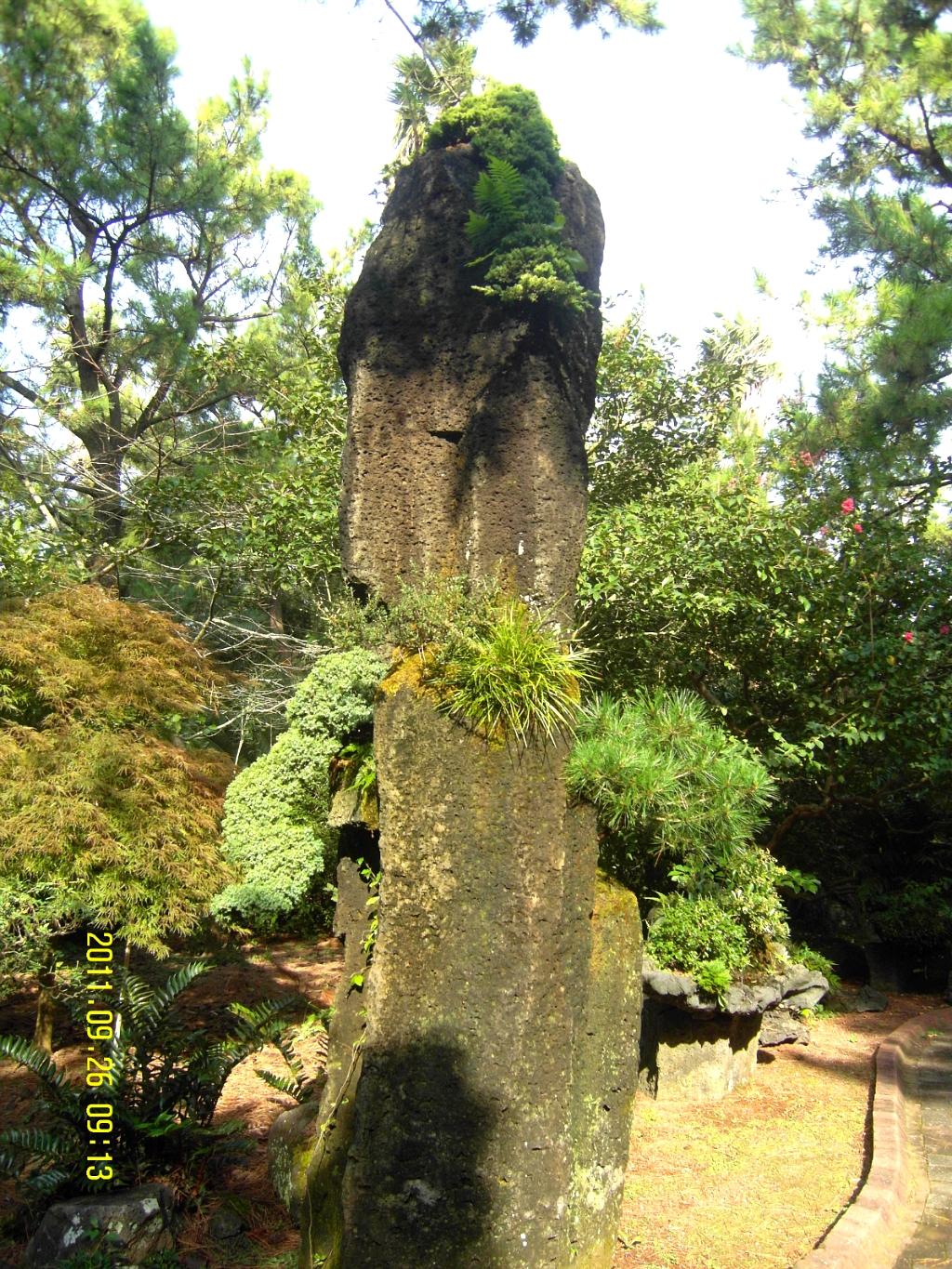 용연골 이미지