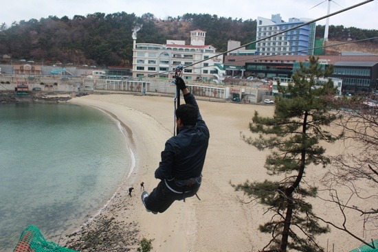 에코라인 이미지