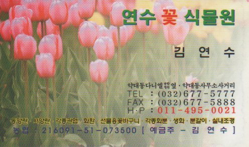 연수꽃식물원 이미지