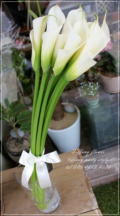 카라flower 이미지