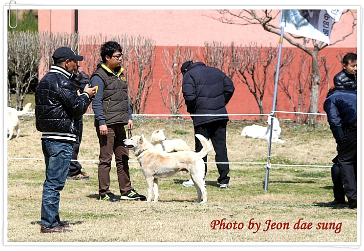 주인 이미지