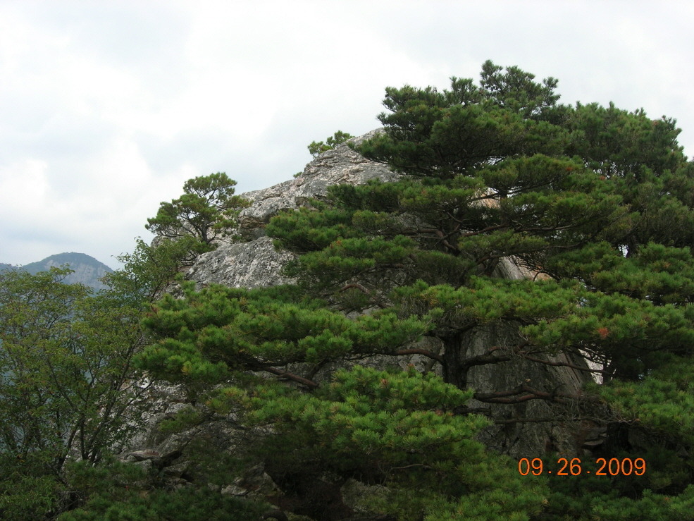 까치산 이미지