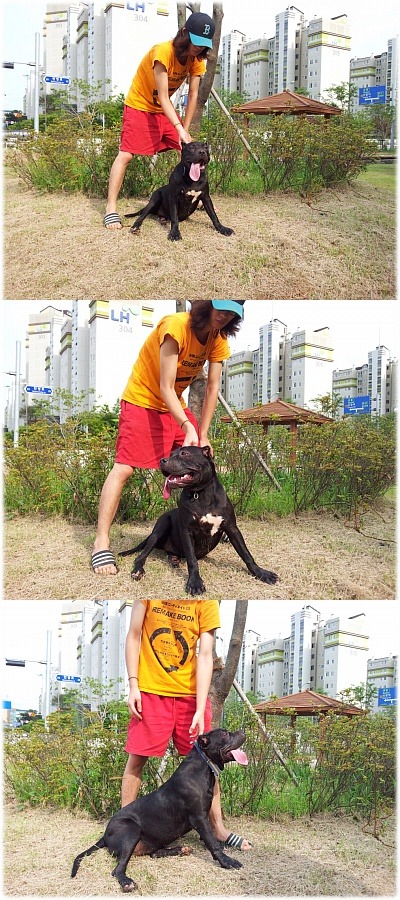 루팡 이미지