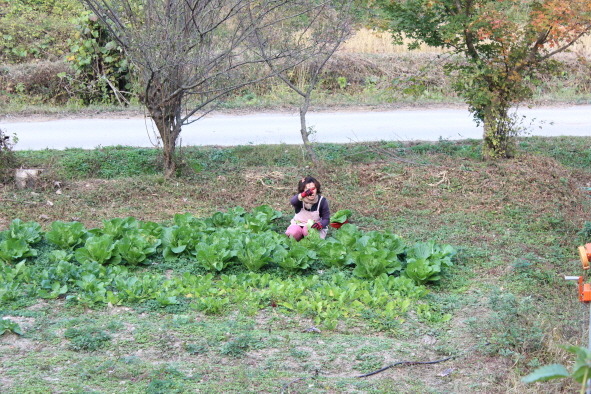 송산도예 이미지