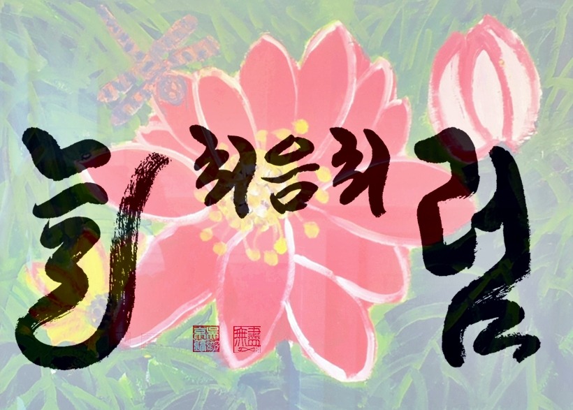 늘처음처럼 이미지