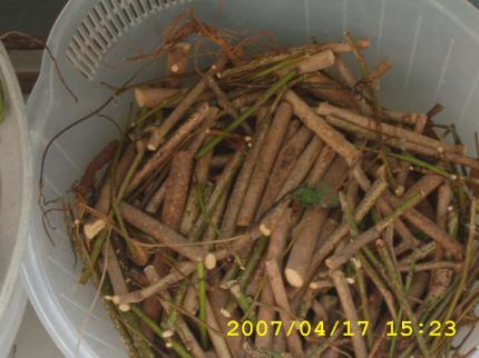 엄궁중학교 이미지