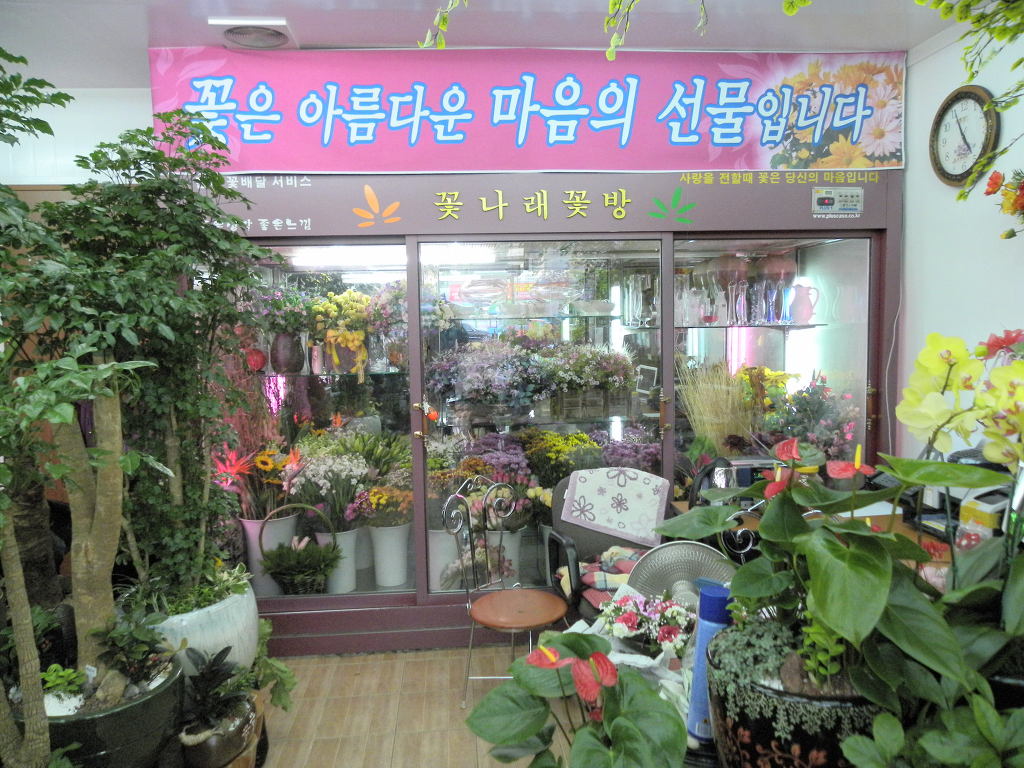 나래꽃방 이미지