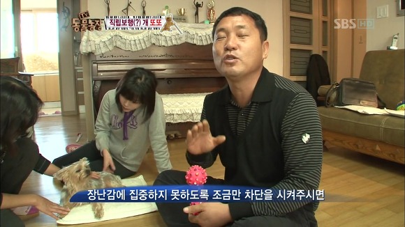 [동물농장] 지팡이 짚고 걷는 심봉사 개 또또라오 | 인스티즈