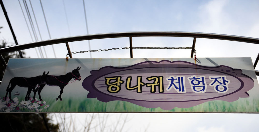 당나귀타는원시마을 이미지