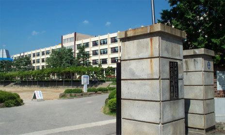 모표 이미지