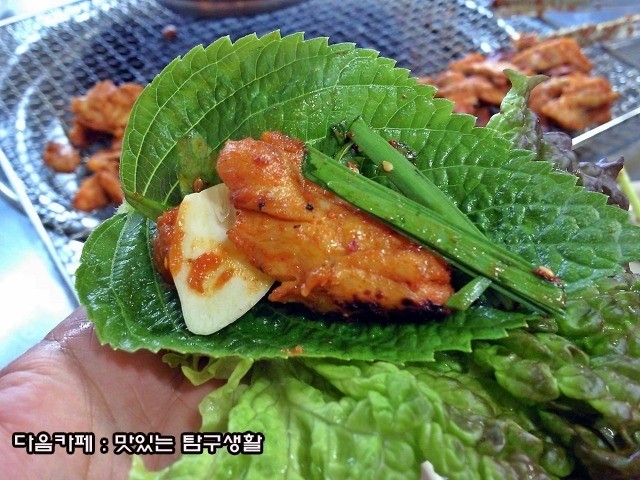 원조닭갈비집 이미지