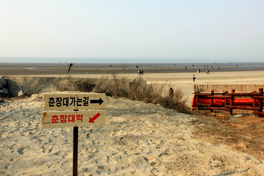 레인뮤직 이미지