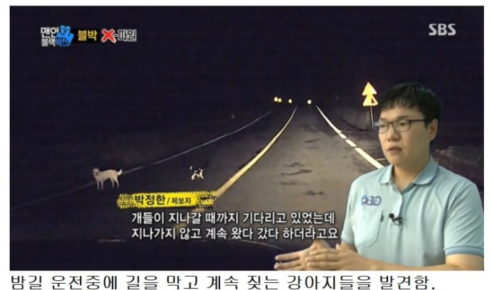 개를 구한 남자..jpg | 인스티즈