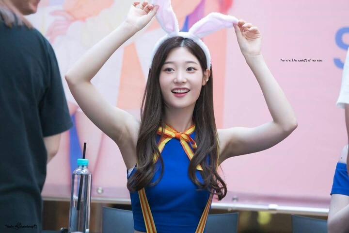 토끼 채연이 | 인스티즈