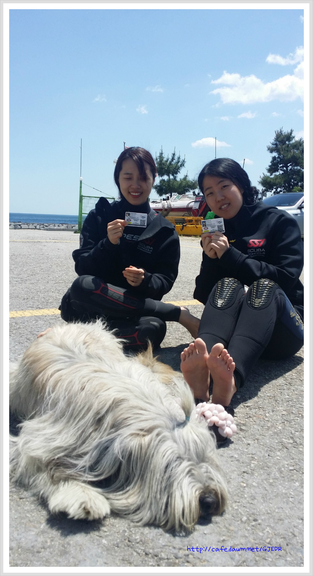 거진에코다이빙 리조트 이미지