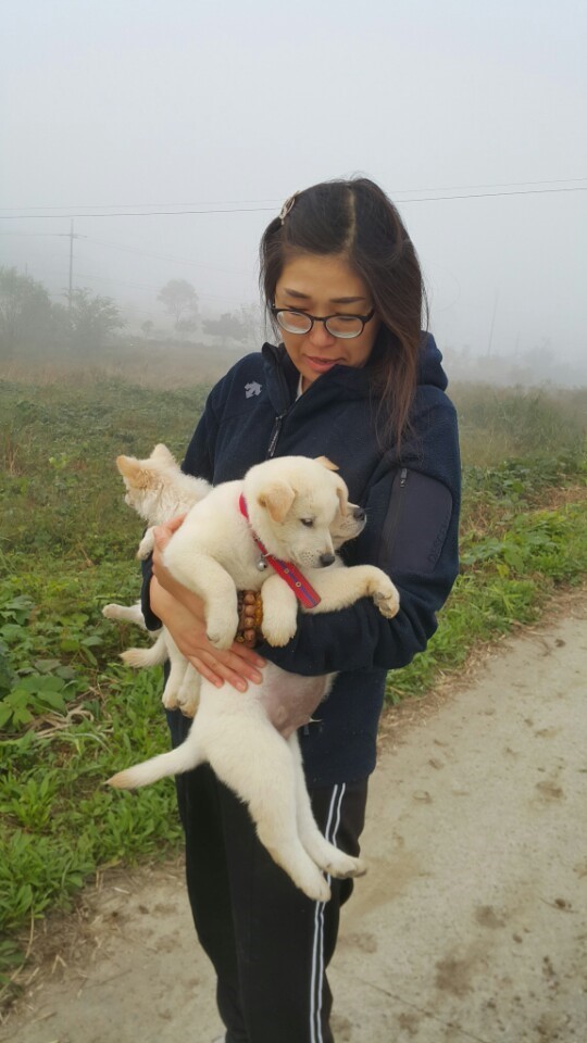 개소주가 되어 주인품으로 돌아온 매실이. 매실이는 이쁘고 영리하지만 겁도많은 소중한 가족이었습니다 | 인스티즈