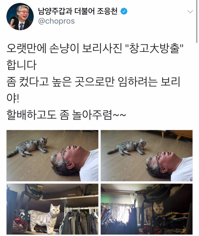 냥집사들 🐱 (사진 엄청많음 주의) | 인스티즈