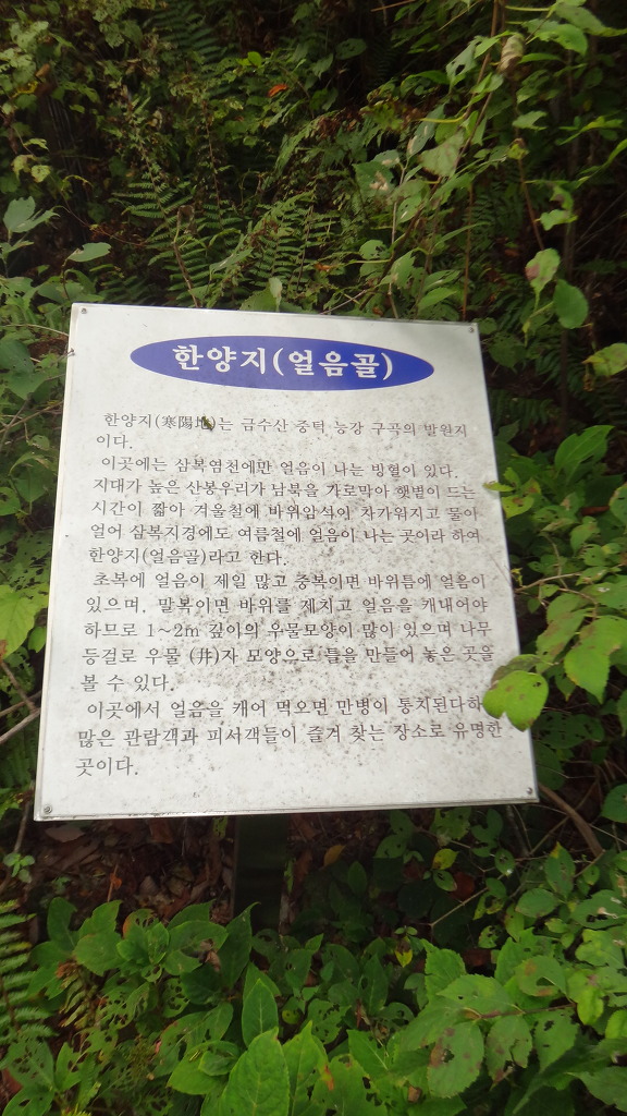 자드락 이미지