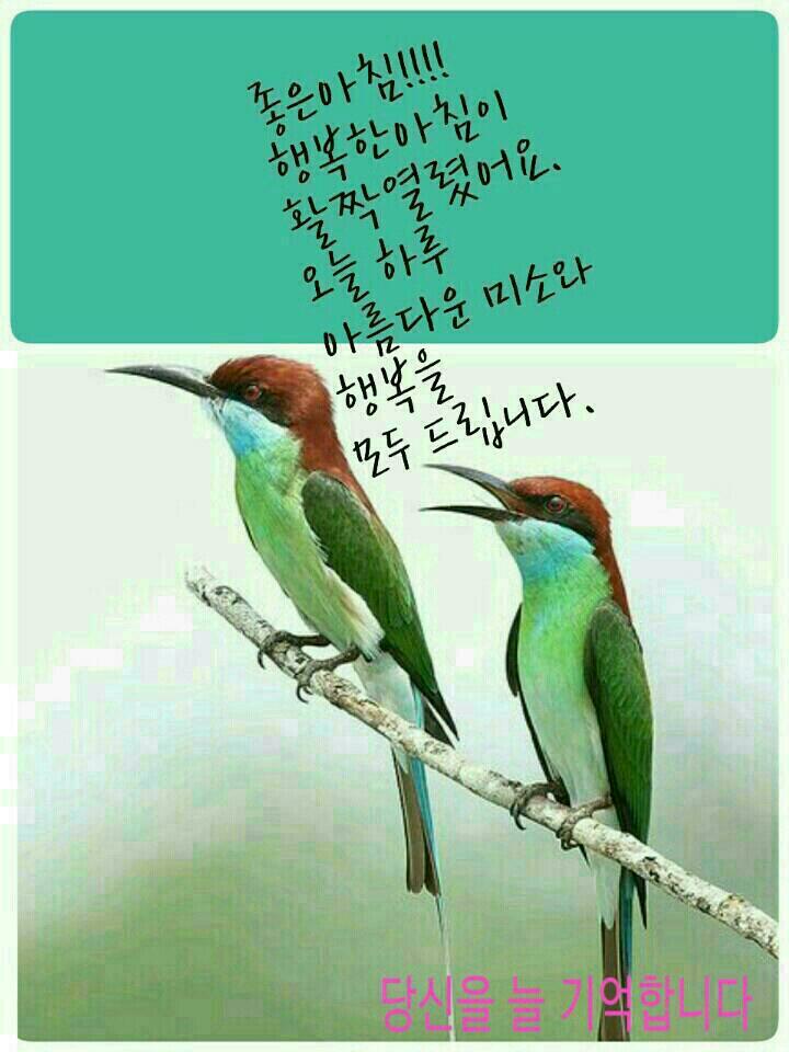 만태 이미지