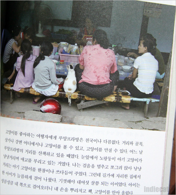 사랑을찍다 이미지