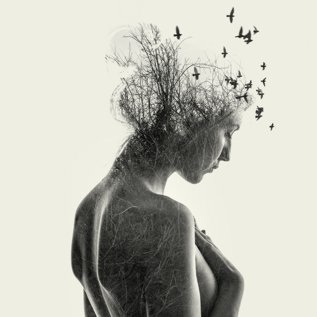 이중노출기법(Double Exposure)으로 촬영한 사진들.jpg | 인스티즈