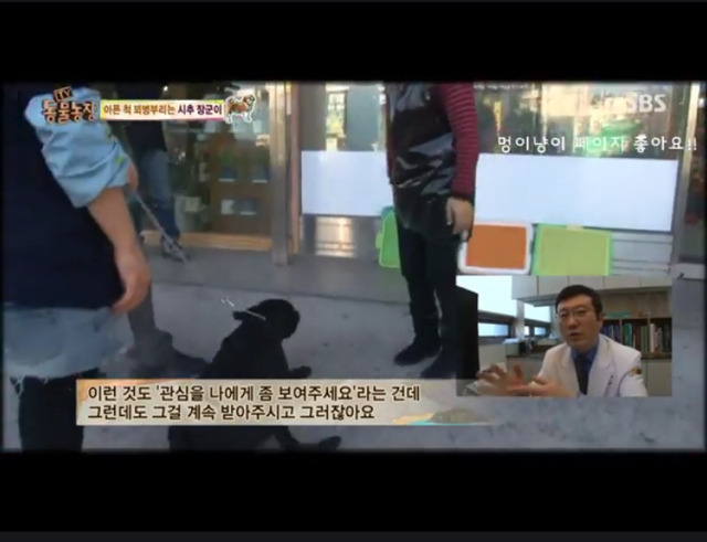 관심받기위해 꾀병부리는 멈무이 8ㅅ8 넘나 귀여운것..! | 인스티즈