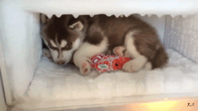 야 나와.gif | 인스티즈