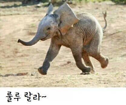 룰루랄라 이미지