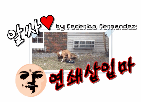 [16.01.18] 스텔라 쇼케이스 전율&효은.gif | 인스티즈