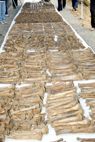 종북을 외치던 그들의 잘못된 세월을 외면하지 말아야하는 이유 | 인스티즈