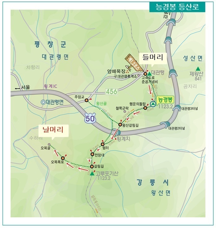 뿔난여우 이미지