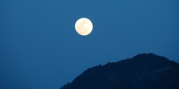 세모시 이미지