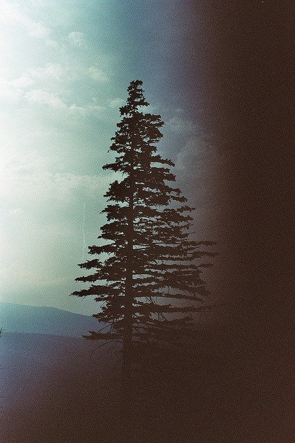 내 마음에 드는 여자들은 모두 너의 표절이다 | 인스티즈