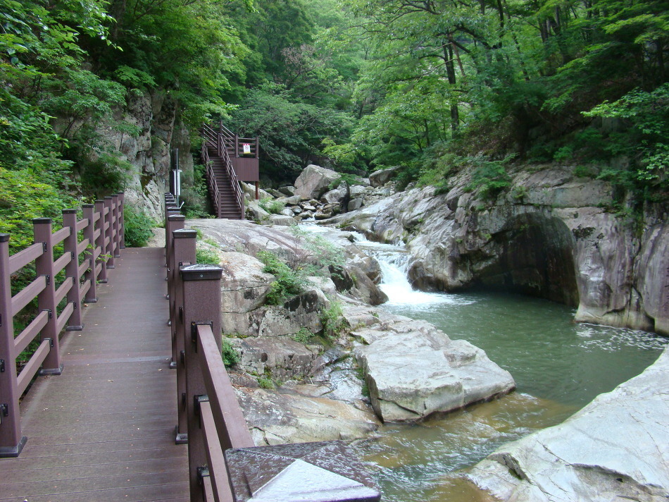 장수흙돼지 이미지