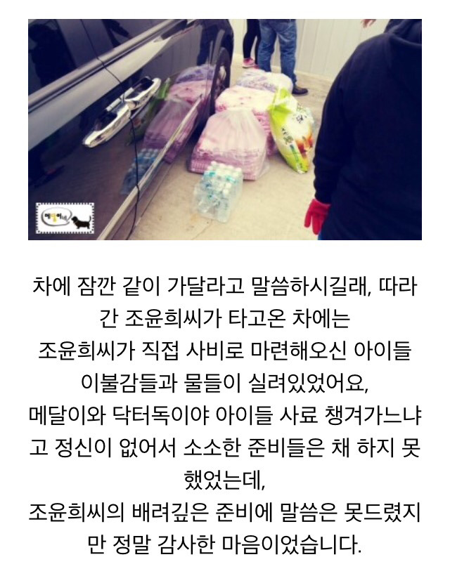 장애 유기견 입양해서 키우는 조윤희 | 인스티즈