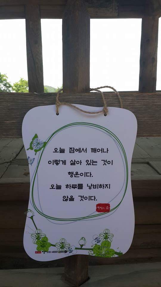 다선 이미지