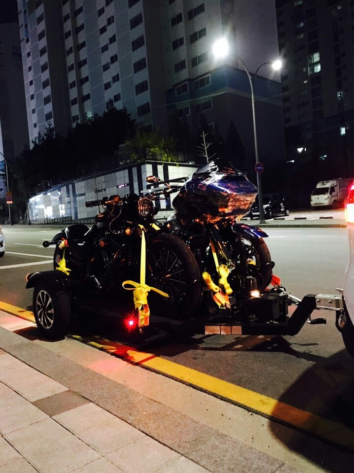 블루가이 이미지