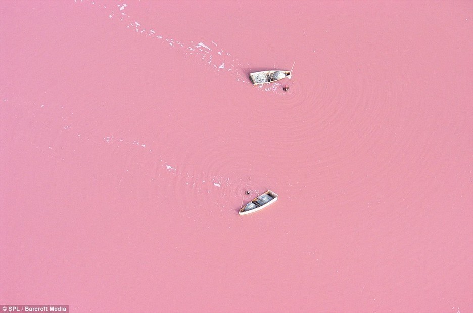 실제로 있는 핑크색 호수 .jpg | 인스티즈