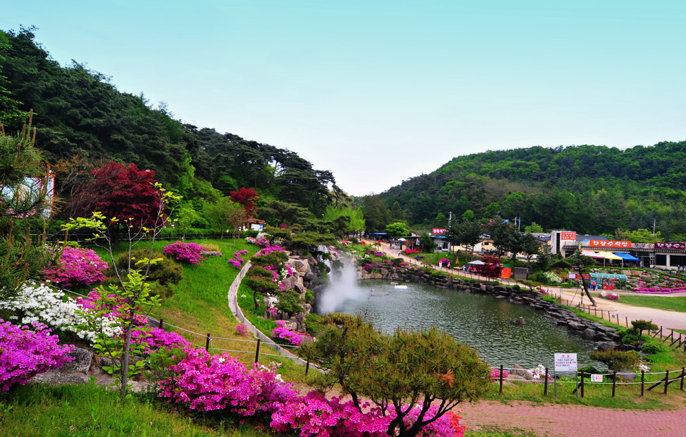 초아랑 영주 부석사 가고 싶다 | 인스티즈