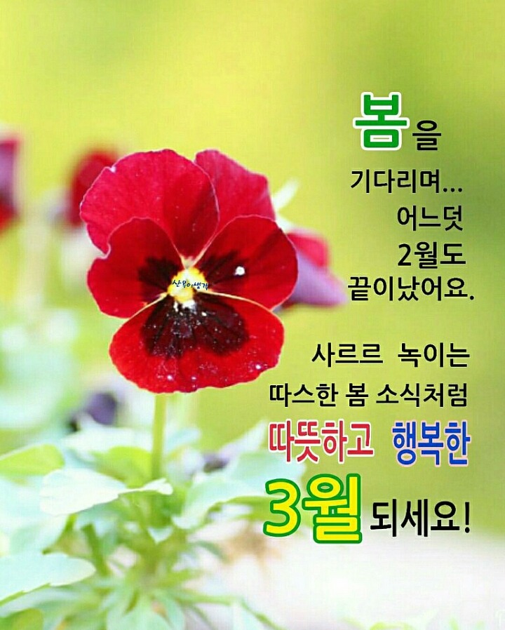 행복한3월 이미지
