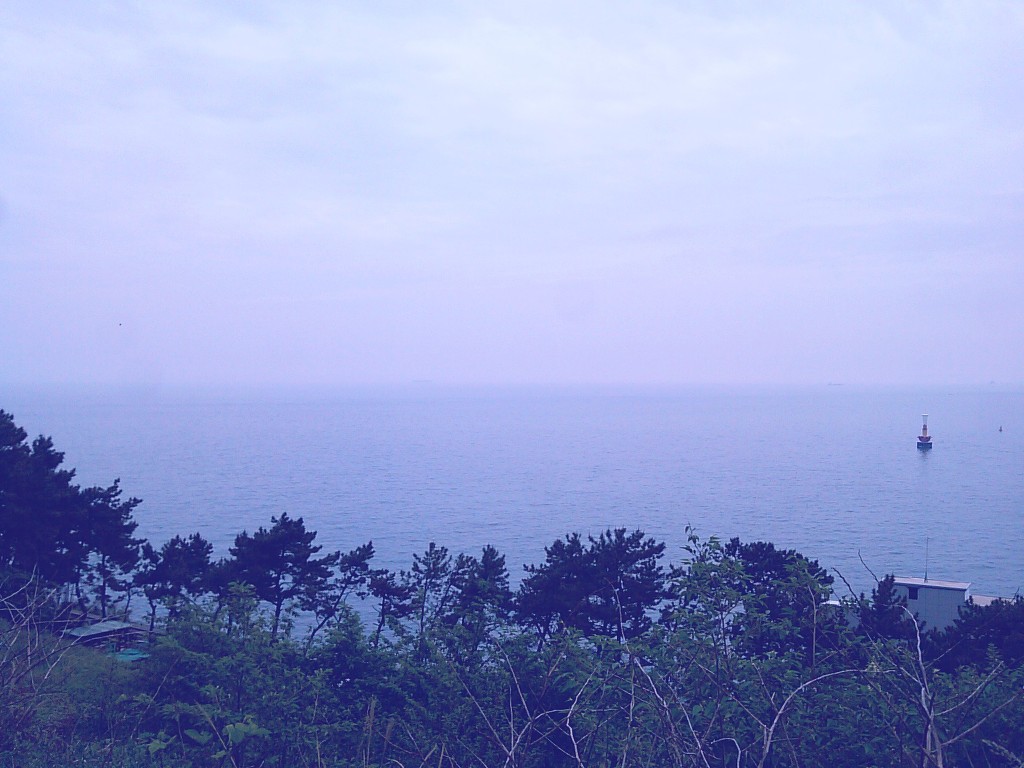 오늘바다 이미지