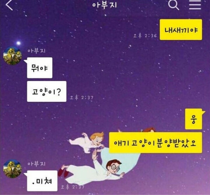 아빤 고양이 싫다.jpg | 인스티즈