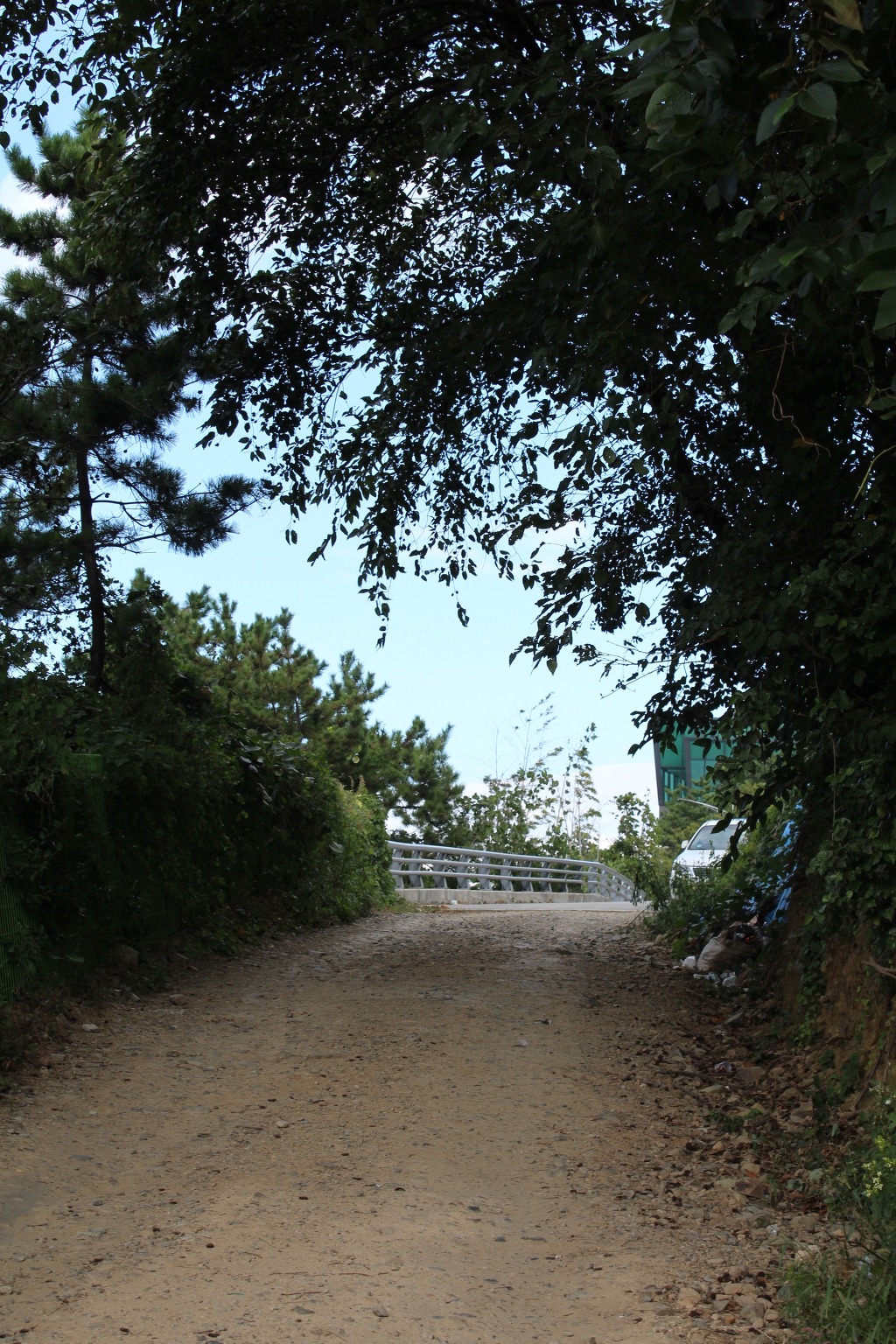 명품참숯 이미지